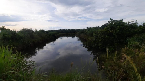 Imagem 3 de 14 de Sítio 25 Hectares - 0034