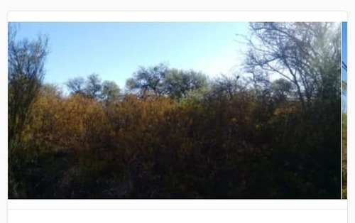Imagen 12 de 19 de Campo - El Chacho