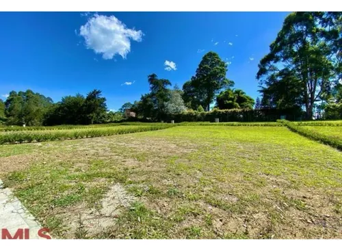 Rhbr-11776 Lote (rionegro, Sector Chipre)