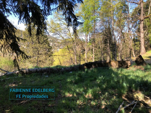 Imagen 12 de 30 de Terreno Apto Desarrollo Lote Centro 6686 M2 - San Martin De Los Andes