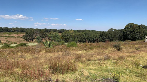 Imagen 9 de 13 de Venta De Terreno En San Martin Cachihuapan, Villa Del Carbón