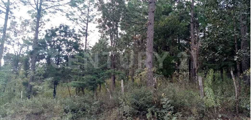 Terreno En Venta, Col. Chijilte, Teopisca, Chiapas