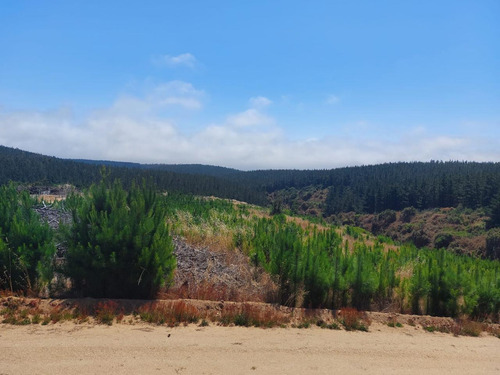 Oportunidad Venta De Parcela Pichilemu Playa Monaco