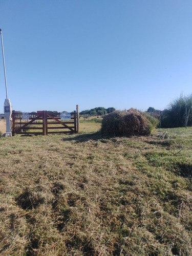 Lote En Paraje Pavon A Metros De Avenida Libertador