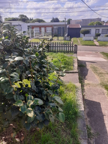 Imagen 8 de 16 de Vendo 2 Casas Con Jardín, 670m2 Fondo Con Galpón 14x8mts