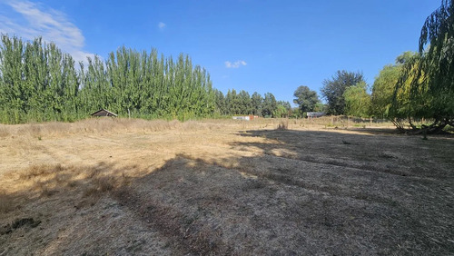 Venta Parcela Terreno 25000mts Paine
