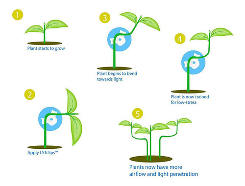 L Clipes De Treinamento De Plantas 20 Peças Clipes De