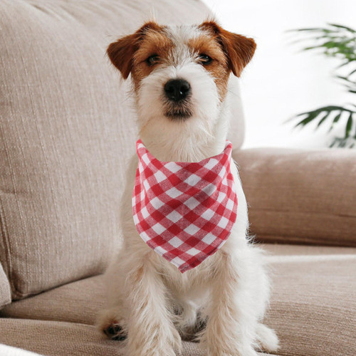 Bandana Para Perro, 2 Unidades: Pañuelos Para Cachorros, Buf