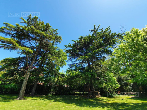Imagen 17 de 26 de Excelente Lote-terreno Arbolado En Venta - San Isidro - Las Lomas