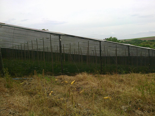 Imagem 7 de 28 de Chácara À Venda, 20000 M² Por R$ 530.000 - Ipiranga - Elias Fausto/sp - Ch0029