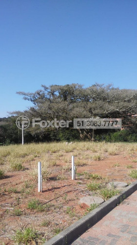 Imagem 10 de 21 de Terreno, 252 M², Campo Novo - 190385
