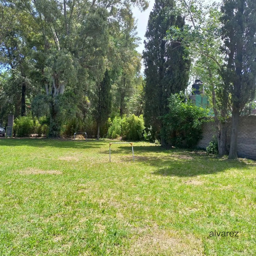 Terreno Lote En Paso Del Rey Moreno