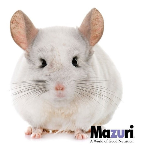 Mazuri Chinchilla 1 Kilo Alimento Premium 1.13kg - Aquarift