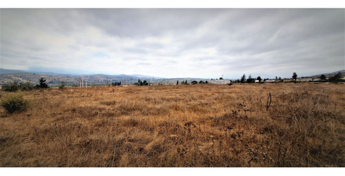 Sitio Plano, Agrícola, De 5.000 M2., En Tabolango, Limache.