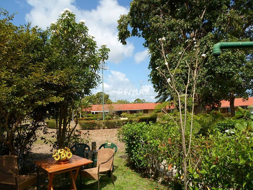 Imagen 13 de 16 de Apartamento En Higuerote Super Precio