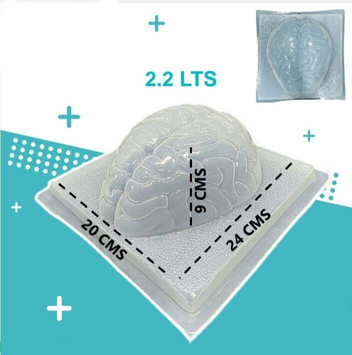 Molde De Plástico Para Gelatina Forma De Cerebro