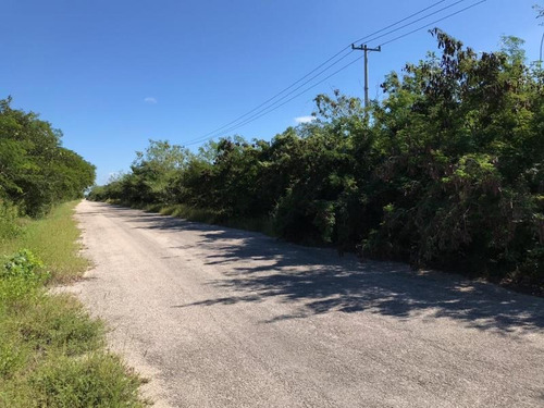 Imagen 1 de 4 de Terreno En Venta Cosgaya