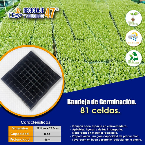 Bandeja De Germinación Semillas