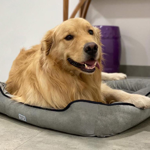 Cama Confortável Para Cachorro Com Ziper Suede 50 X 50