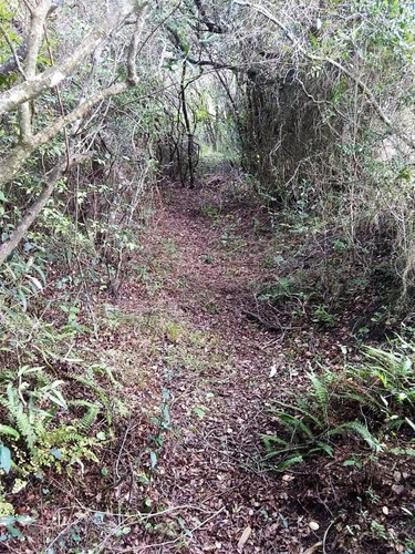 Chacra En Piriápolis