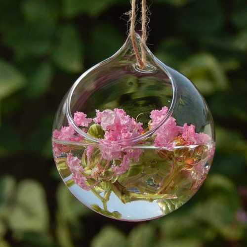 6 Macetas Hidropónicas De Cristal, Jarrón De Flores,