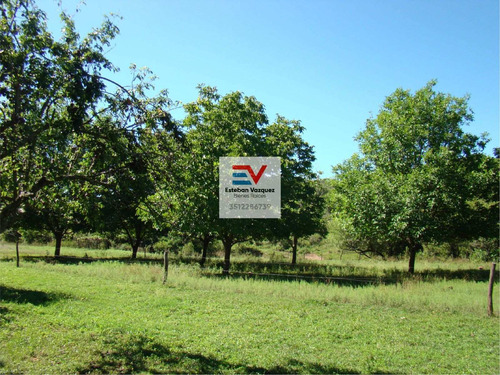 Imagen 18 de 30 de Venta. 67 Hectareas En Candonga, Cordoba. Con 2 Km De Costa De Rio. Titulos Perfectos