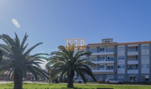 Imagen 17 de 20 de Apartamento En Peninsula, 1 Dormitorios