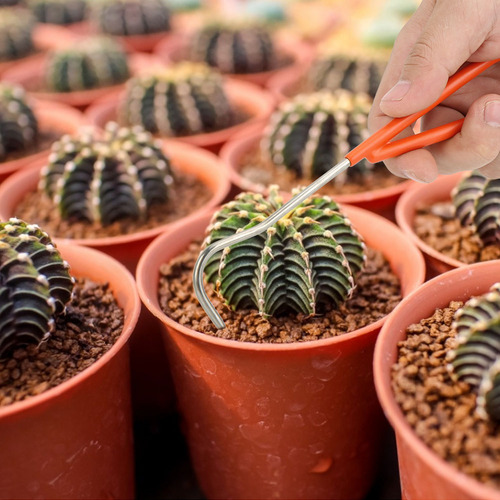 Herramienta De Gancho Para Jardín, Raíz De Bonsái De Alta Ca
