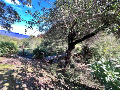 Gran Parcela En Arriendo Olmué