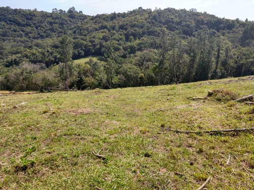 Chácara 20.000 M² - Lomba Grande - Novo Hamburgo - Rs - 2229 - 34453770