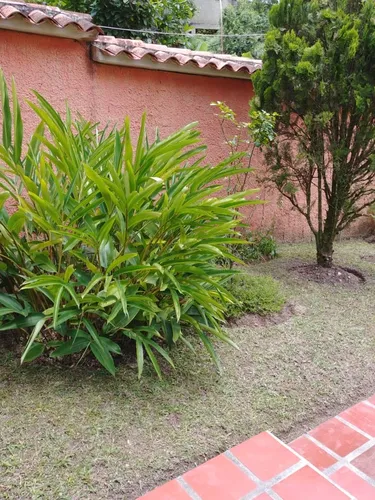 Llano Alto Venta Casa Carriza