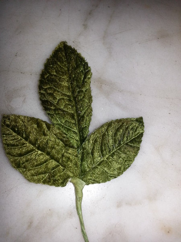 Imagen 2 de 4 de Hojas Rosa/ Parra Tela Plastificada Y Terciopelo X Doc. (4)