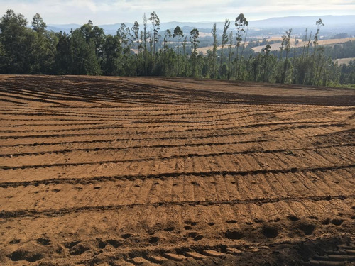 Agrícola En Venta En Gorbea