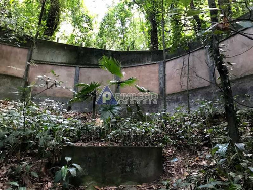 Imagem 9 de 17 de Terreno No Cosme Velho - 12131