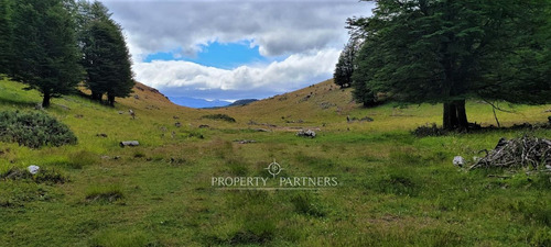 Patagonia, 57ha Hermoso Campo Lago Castor