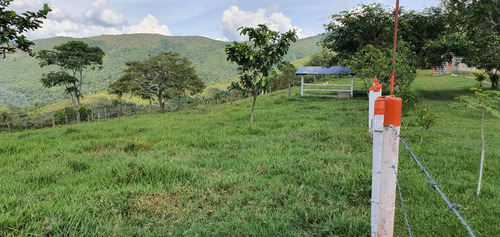 Em. Preciosa Y Productiva Finca En Vega De Aza 55 Hectáreas 