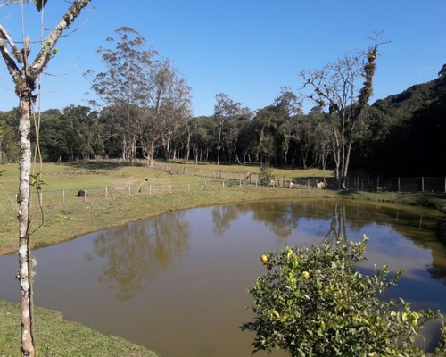 Imagem 10 de 22 de Sitio À Venda Em Juquitiba - 307 - 32982833