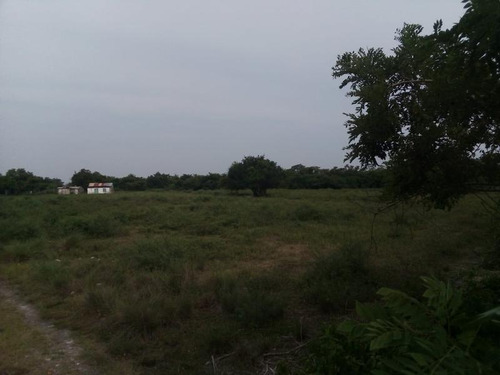 Venta Rancho Ganadero 100 Hectáreas Tamiahua Veracruz