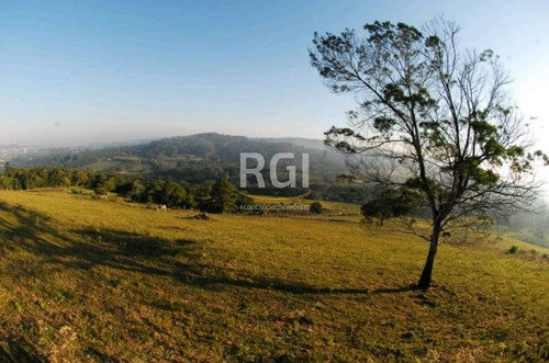 Terreno Em Vila Nova - Mf17191