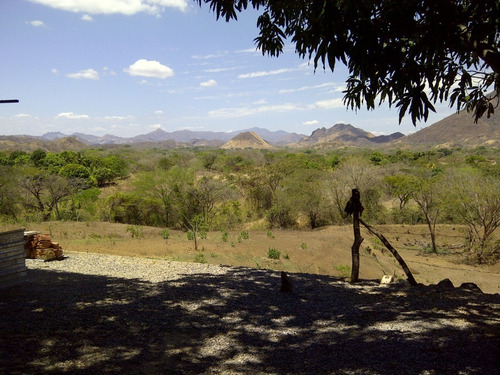 Imagen 6 de 14 de Excelente Finca Ubicada En San Sebastian. Estado Aragua