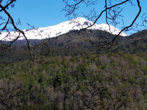 Terreno 5.000 M2 En Condominio La Helvetia, Malalcahuello