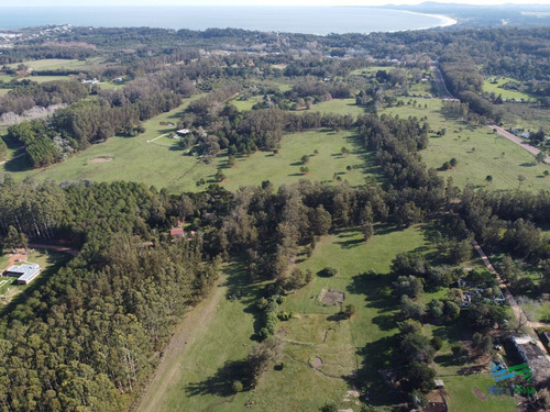 Imagen 4 de 11 de Vendo Terreno De 1 Hectárea Tipo Chacra En Laguna Del Diario, Punta Del Este