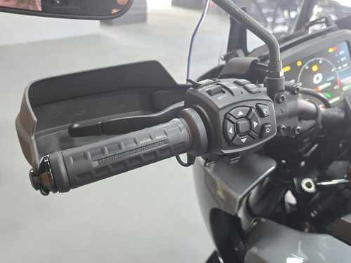 2022/2022 Harley-davidson Pan America 1250 Special Cinza
