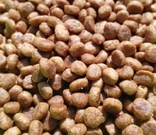 Croqueta Royal Canin A Granel 10kg Más Premios De Regalo