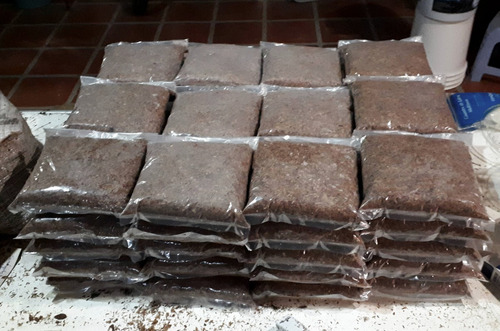 Sustrato Para Larvas De Escarabajo Tipo Flake Soil Spodistee