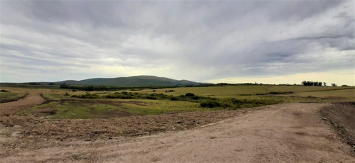 Chacras En Ruta Interbalnearia