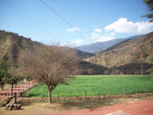 Imagen 2 de 5 de 2.800 Ha