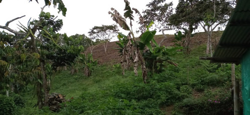 Imagen 8 de 22 de Vendo Finca Bitaco