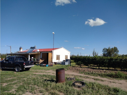 Vendo Finca De 20 Hectareas A Tranquera Cerrada San Rafael