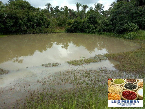 Imagem 1 de 15 de Fazenda À Venda No Vale Do Araguaia - To - De 22 Alqueirões (dupla Aptidão) - 1651
